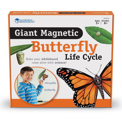 Learning Resources - Magnetic Butterfly Life Cycle