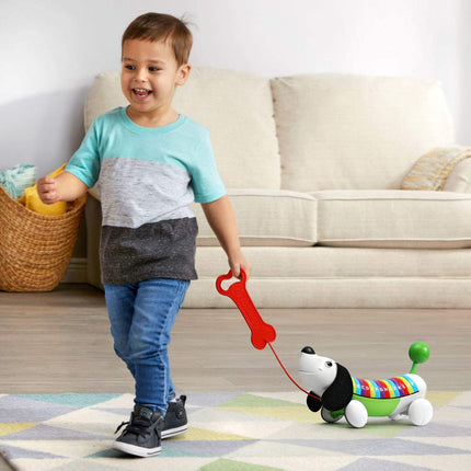 Green Alphapup Learning Toy for Kids