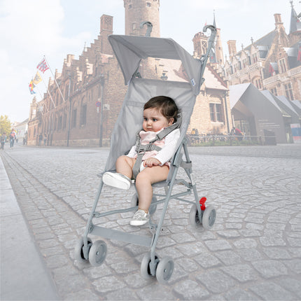 Jet Buggy in Elegant Light Grey