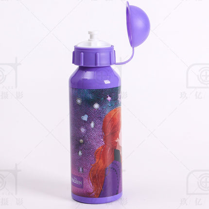 Disney - Frozen - Leading Together 500ml Aluminium Water Bottle