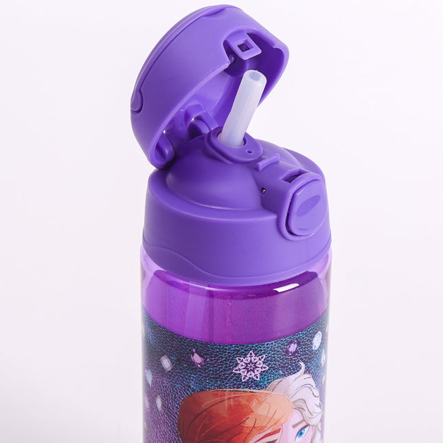 Disney - Frozen - Leading Together 330ml