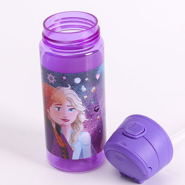 Disney - Frozen - Leading Together 330ml Plastic Water Bottle