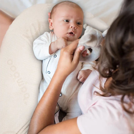 Baby Works Feeding Pillow